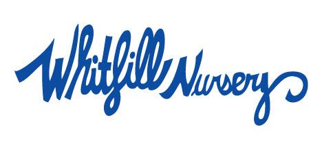 Whitfill Logo