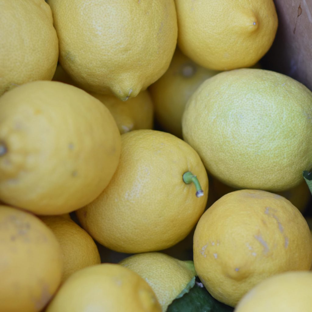 citrus photo